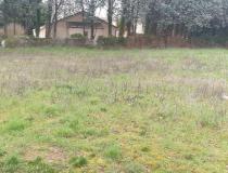 annonce vente terrain paucourt 45200