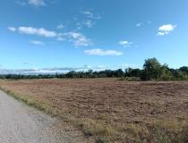 annonce vente terrain paulhan 34230