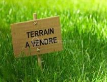 annonce vente terrain pecy 77970