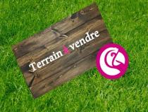 annonce vente terrain petit mars 44390