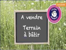 annonce vente terrain pezarches 77131