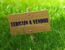 annonce vente terrain pisseleu 60860