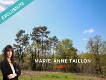 annonce vente terrain pleine selve 33820