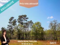 annonce vente terrain pleine selve 33820