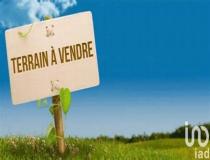 annonce vente terrain pointe noire 97116