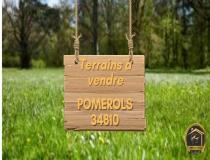 annonce vente terrain pomerols 34810