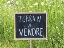 annonce vente terrain pommard 21630