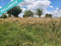 annonce vente terrain pont de vaux 01190