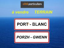 annonce vente terrain port blanc 22710