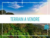 annonce vente terrain punaauia 98718