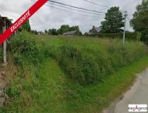 annonce vente terrain quelneuc 56910