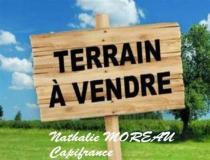 annonce vente terrain reclesne 71540