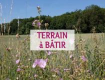 annonce vente terrain reiningue 68950