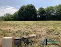 Immobilier terrain Remigny 71150 [4/7769446]