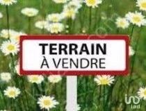 annonce vente terrain richelieu 37120