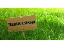 annonce vente terrain rieux minervois 11160