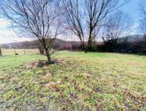 annonce vente terrain ronchamp 70250