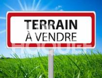 annonce vente terrain rozay en brie 77540