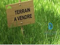 annonce vente terrain sains en gohelle 62114