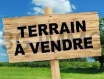 annonce vente terrain saint francois 97118