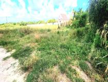 annonce vente terrain saint francois 97118