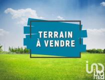 annonce vente terrain saint louis 97450