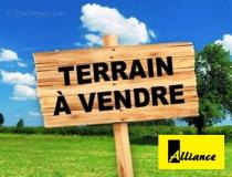 annonce vente terrain saint martin 97150