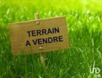 annonce vente terrain saint pierre 97410