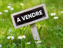 annonce vente terrain saint pierre 97410