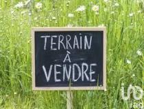 annonce vente terrain saint pierre 97410