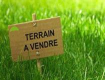 annonce vente terrain sainte rose 97115