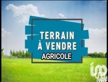 annonce vente terrain salses le chateau 66600