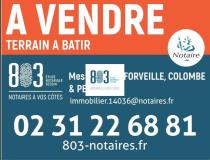 annonce vente terrain saon 14330