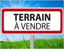 annonce vente terrain saran 45770