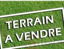 annonce vente terrain sautron 44880