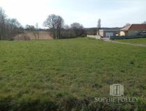 annonce vente terrain sauveterre de bearn 64390