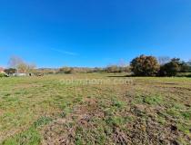 annonce vente terrain sauveterre de bearn 64390