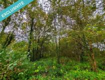 annonce vente terrain savigne sous le lude 72800