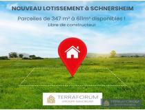 annonce vente terrain schnersheim 67370