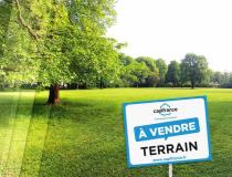 annonce vente terrain seignelay 89250