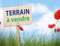 annonce vente terrain sergines 89140