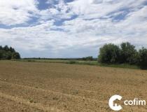 annonce vente terrain simacourbe 64350