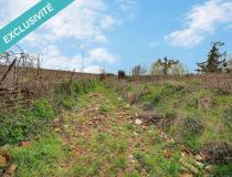 annonce vente terrain solesmes 59730