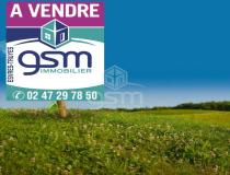 annonce vente terrain st bauld 37310