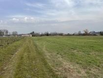 annonce vente terrain st christoly de blaye 33920