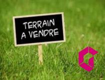 annonce vente terrain st didier en velay 43140