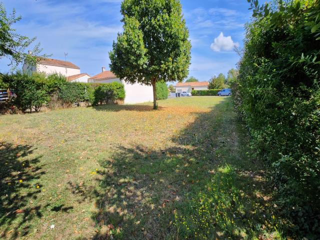 annonce vente terrain st etienne de brillouet 85210