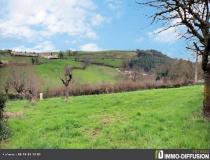 annonce vente terrain st galmier 42330