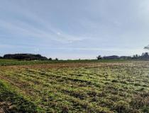 Immobilier terrain St Georges 47370 [4/7756695]
