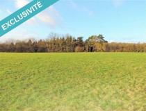 annonce vente terrain st germain du seudre 17240